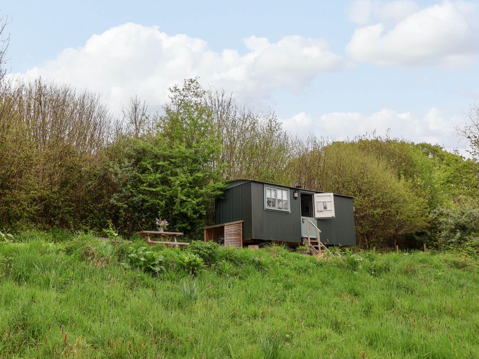 Oak Shepherd Hut - Dorset - 1174124 - thumbnail photo 27