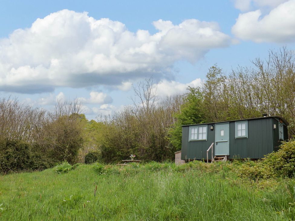 Oak Shepherd Hut - Dorset - 1174124 - thumbnail photo 28