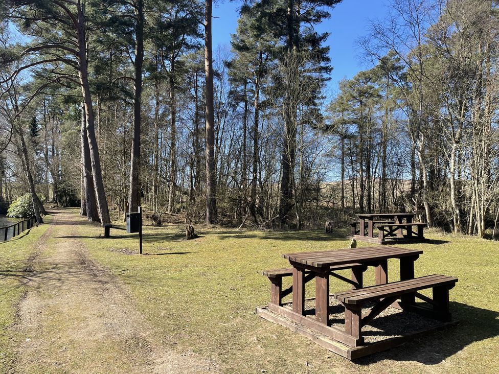 An outdoor area with tables and trees at Woodburn Lodge Otterburn