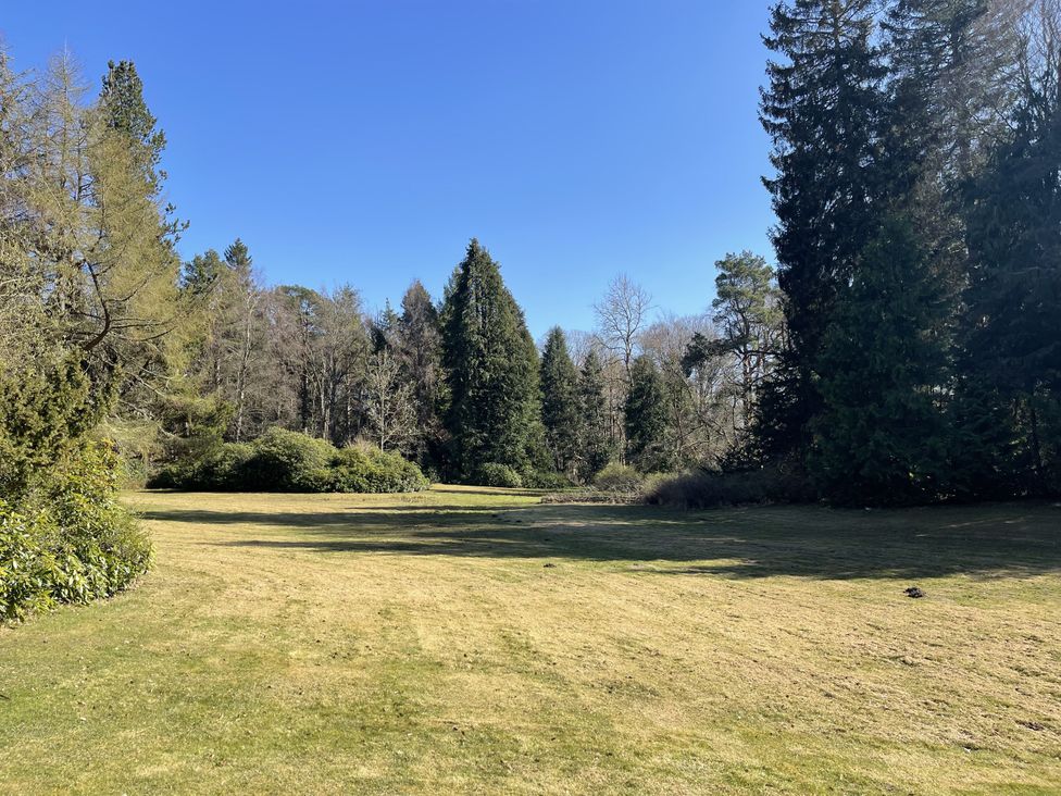 A garden with grass and trees at Woodburn Lodge Otterburn