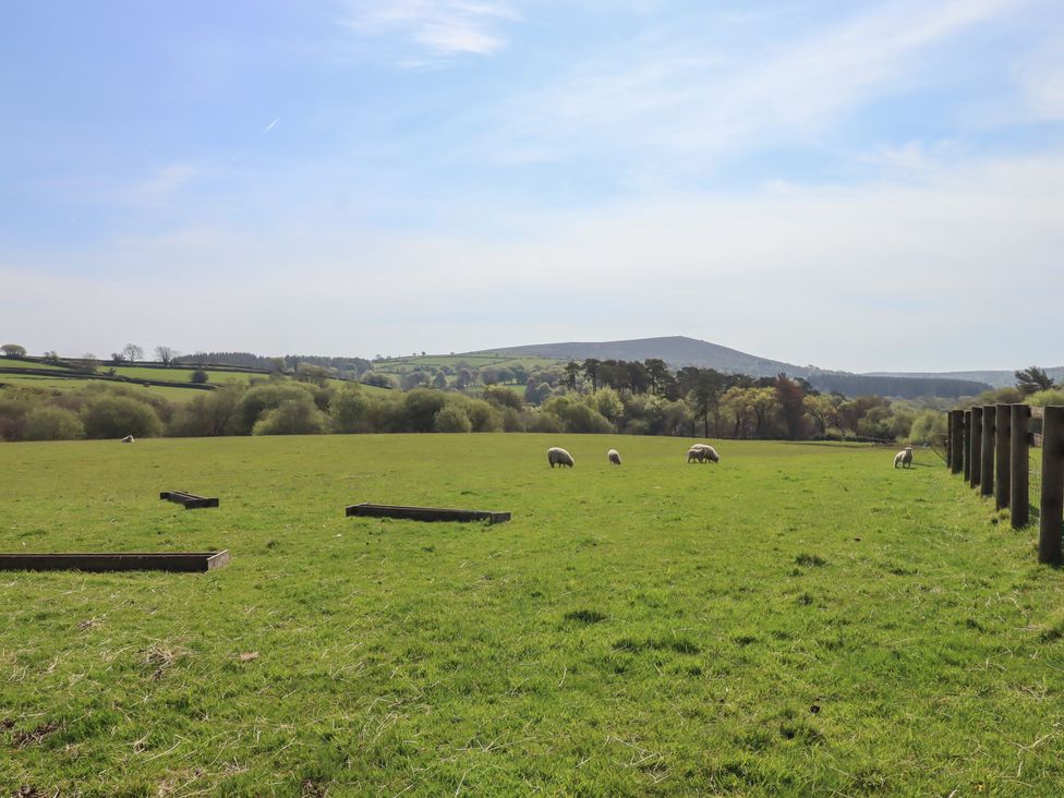 Puddaven Barn - Devon - 1174156 - thumbnail photo 42