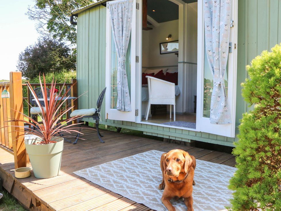 A patio with a dog lying on a rug outside a small green cabin with open doors at Songbirds St Michaels Kent