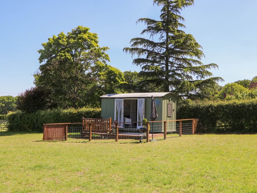 A small green hut with open doors and a fenced porch in a grassy area with trees at Songbirds in St Michaels Kent