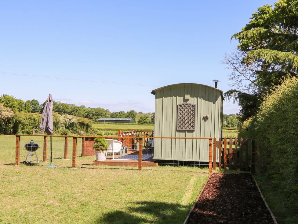 A fenced grassy garden with a small green shed patio chairs umbrella and barbecue in a countryside setting at Songbirds in St Michaels Kent