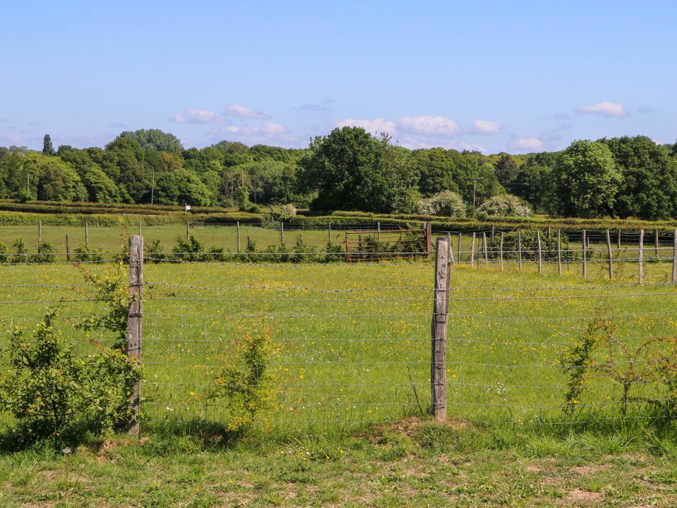 A fenced green field with scattered yellow flowers and trees in the background at Songbirds in St Michaels Kent