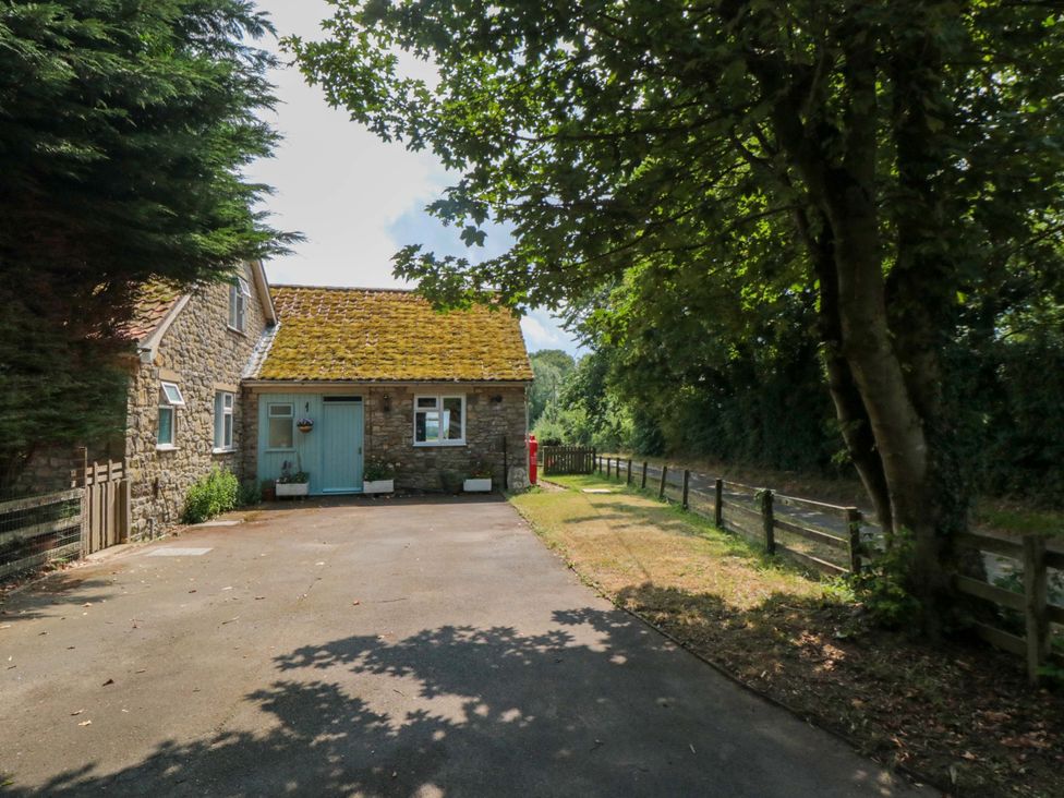 A house with a driveway and trees outside at The Annex in York