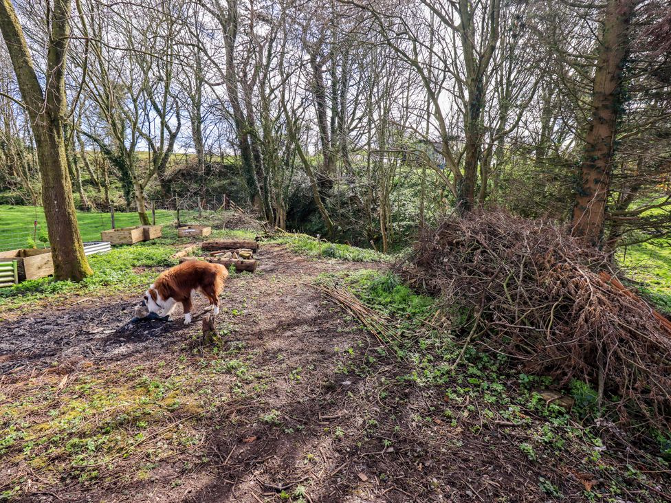 A garden with a dog and compost bins at Yew Tree Cottage Mealsgate near Ireby