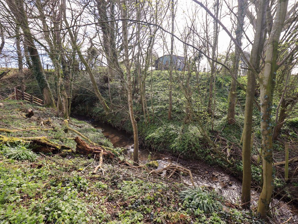 A view of a stream surrounded by trees and grass at Yew Tree Cottage, Mealsgate near Ireby