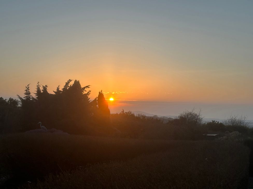 A sunset view with trees and bushes at Burry House Llanmorlais
