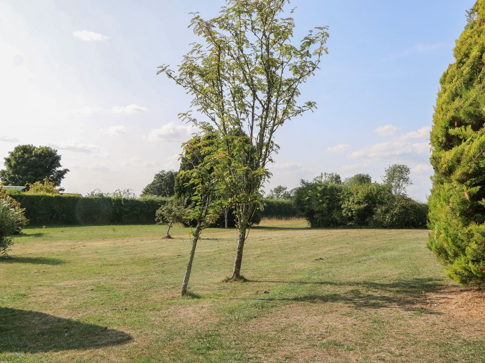 A garden with trees and grass at El -Nido in Alton