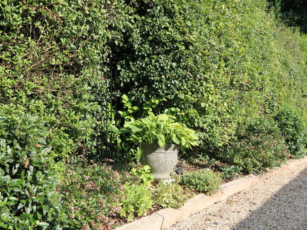 A garden with a planter and plants at El -Nido in Alton