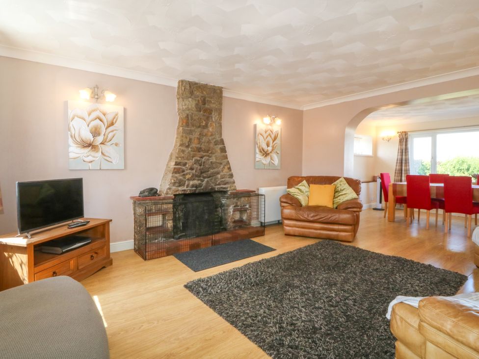 A living room with a television and a fireplace at Llain Delyn in Capel Mawr near Malltraeth