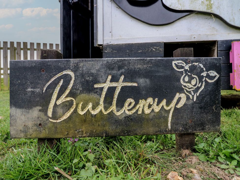 Buttercup (Cow Shed 3) - Suffolk & Essex - 1174328 - thumbnail photo 2