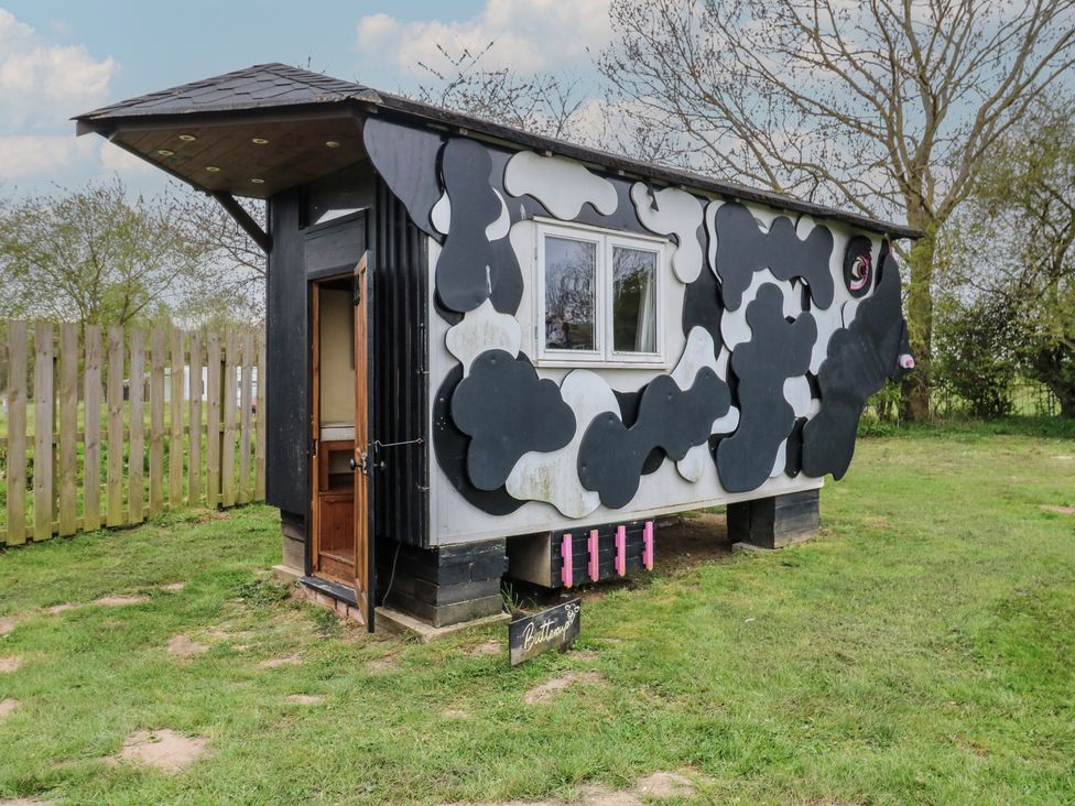 Buttercup (Cow Shed 3) - Suffolk & Essex - 1174328 - thumbnail photo 8