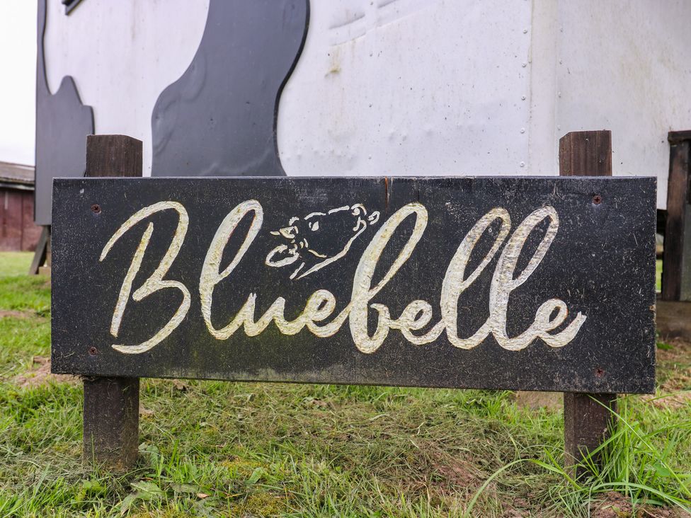 Bluebelle (Cow Shed 5) - Suffolk & Essex - 1174330 - thumbnail photo 3