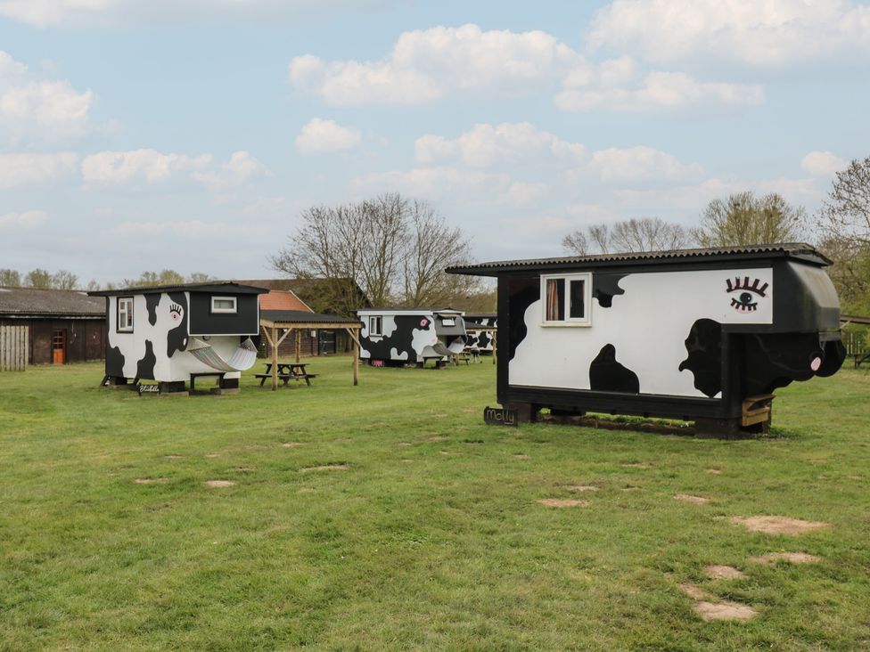 Bluebelle (Cow Shed 5) - Suffolk & Essex - 1174330 - thumbnail photo 12