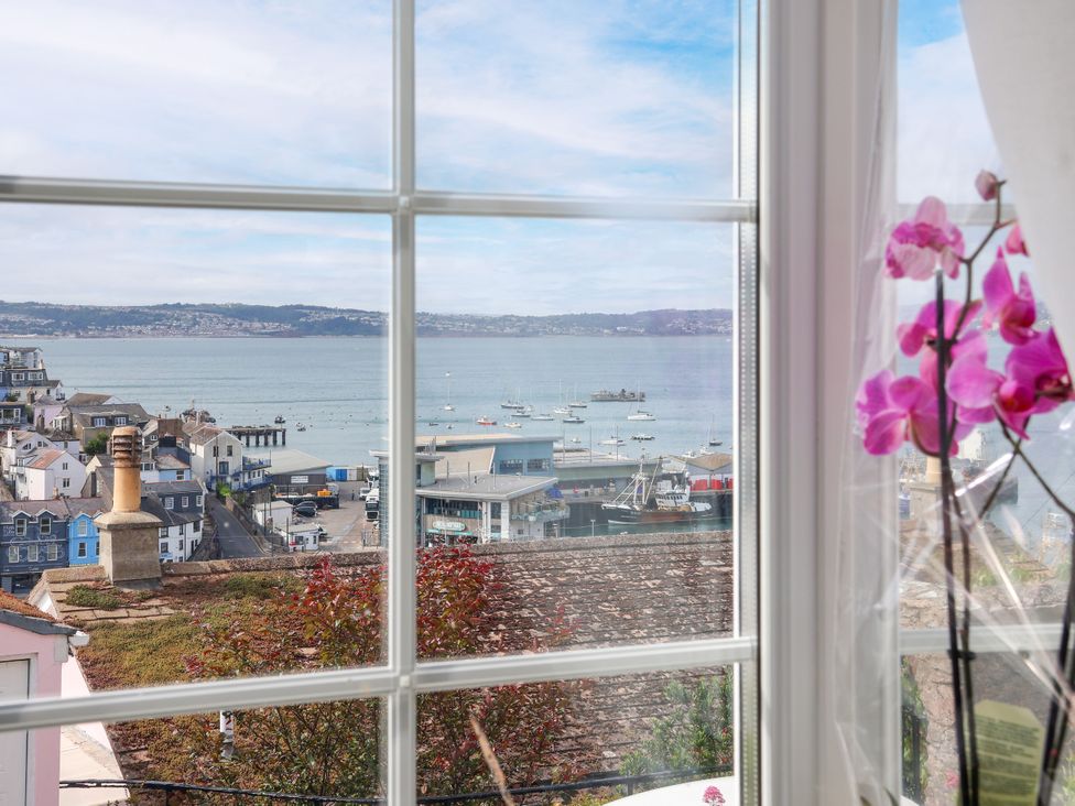 A view of boats on water from a window with an orchid at 45 North View in Brixham