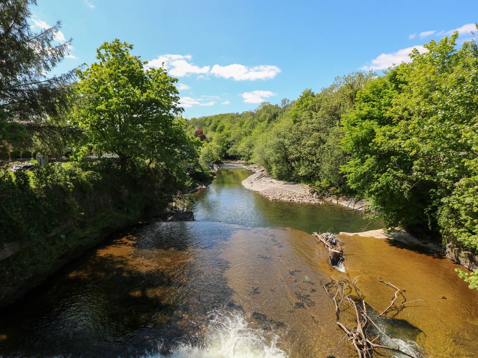 A river flowing through a forested area with green trees under a blue sky at The Loft in Ystradgynlais