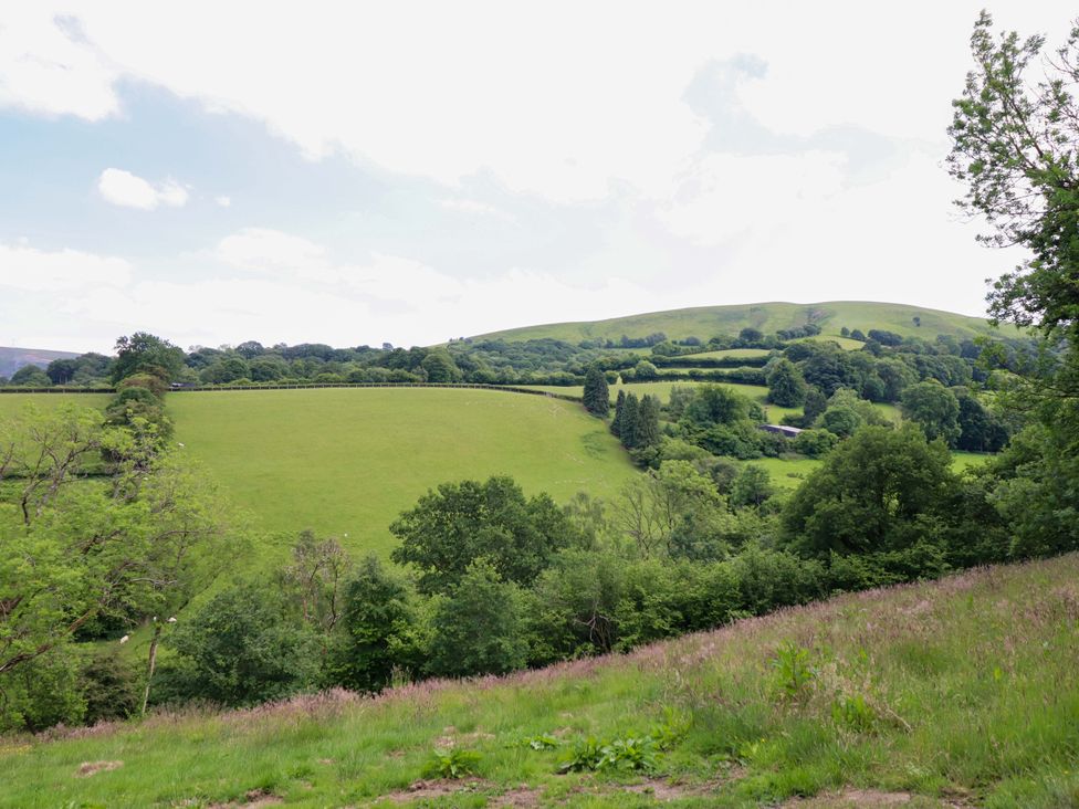 A view of rolling hills and trees at The Owlet Dolwen near Llanidloes