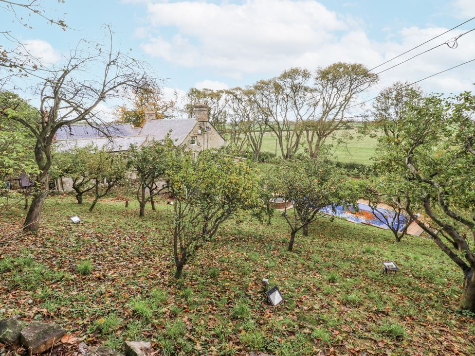 A garden with trees and a house at Elford Farmhouse Seahouses