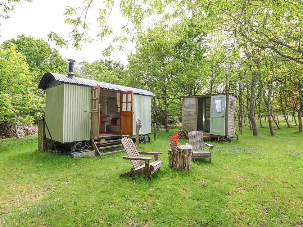 Sika - Dorset - 1174453 - thumbnail photo 1