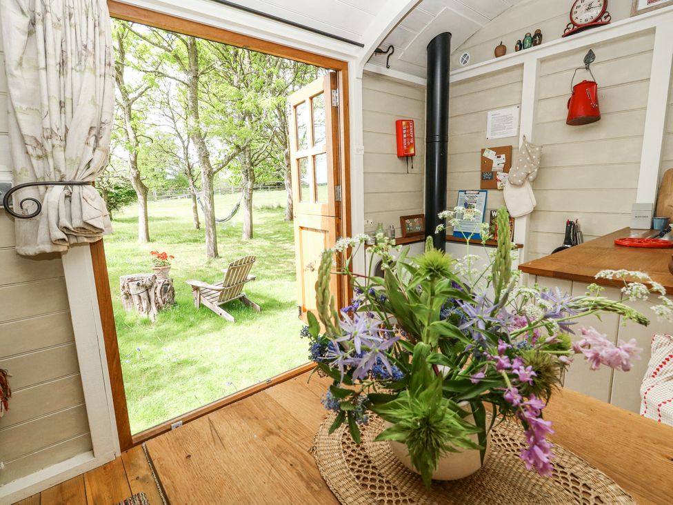 Sika - Dorset - 1174453 - thumbnail photo 5