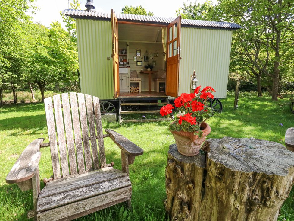 Sika - Dorset - 1174453 - thumbnail photo 9