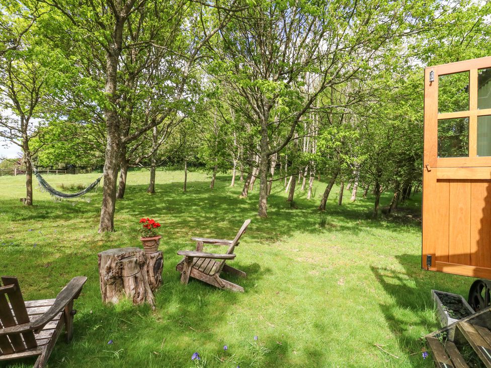 Sika - Dorset - 1174453 - thumbnail photo 10