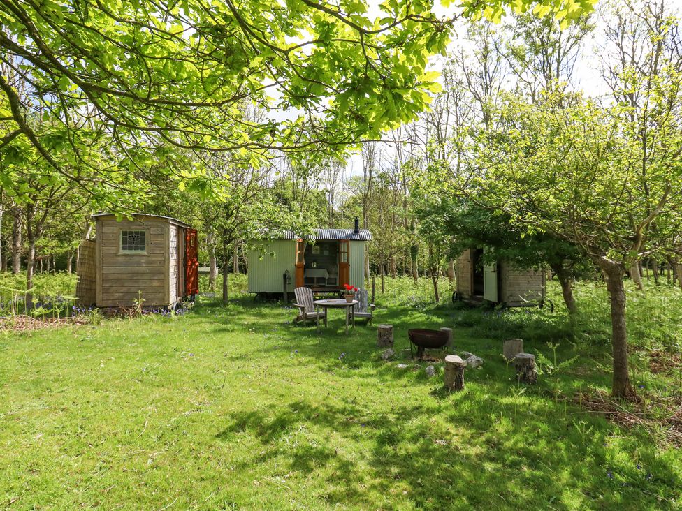 Fallow - Dorset - 1174455 - thumbnail photo 16