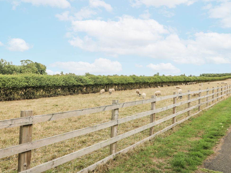 Sheep grazing in a field next to a wooden fence at Fields View in Edingale near Alrewas