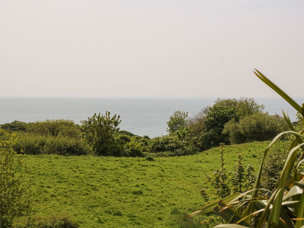 Swifts - Isle of Wight & Hampshire - 1174465 - thumbnail photo 21