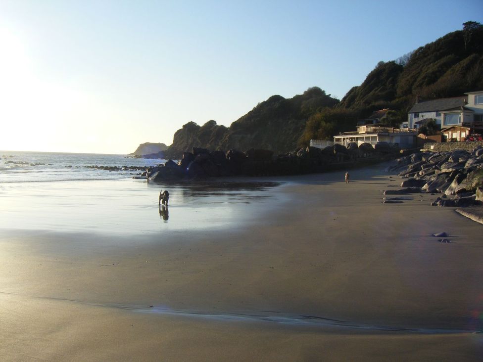 Swifts - Isle of Wight & Hampshire - 1174465 - thumbnail photo 25