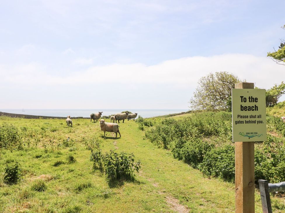 The Lobster Pot - Isle of Wight & Hampshire - 1174466 - thumbnail photo 33