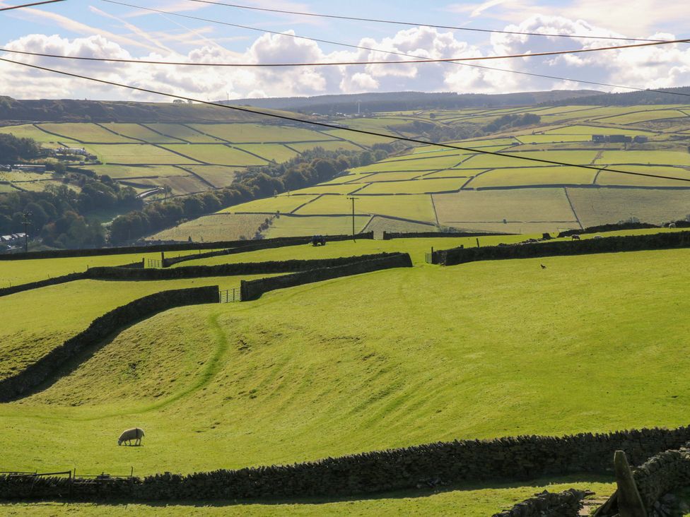 A field with a sheep and stone walls at 1 Flush House Lane in Holmbridge