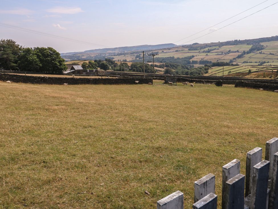 A field with sheep and a stone wall at Stone & Fleece Cottage in Holmfirth