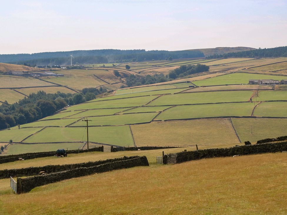 A landscape with fields and sheep at Stone & Fleece Cottage in Holmfirth