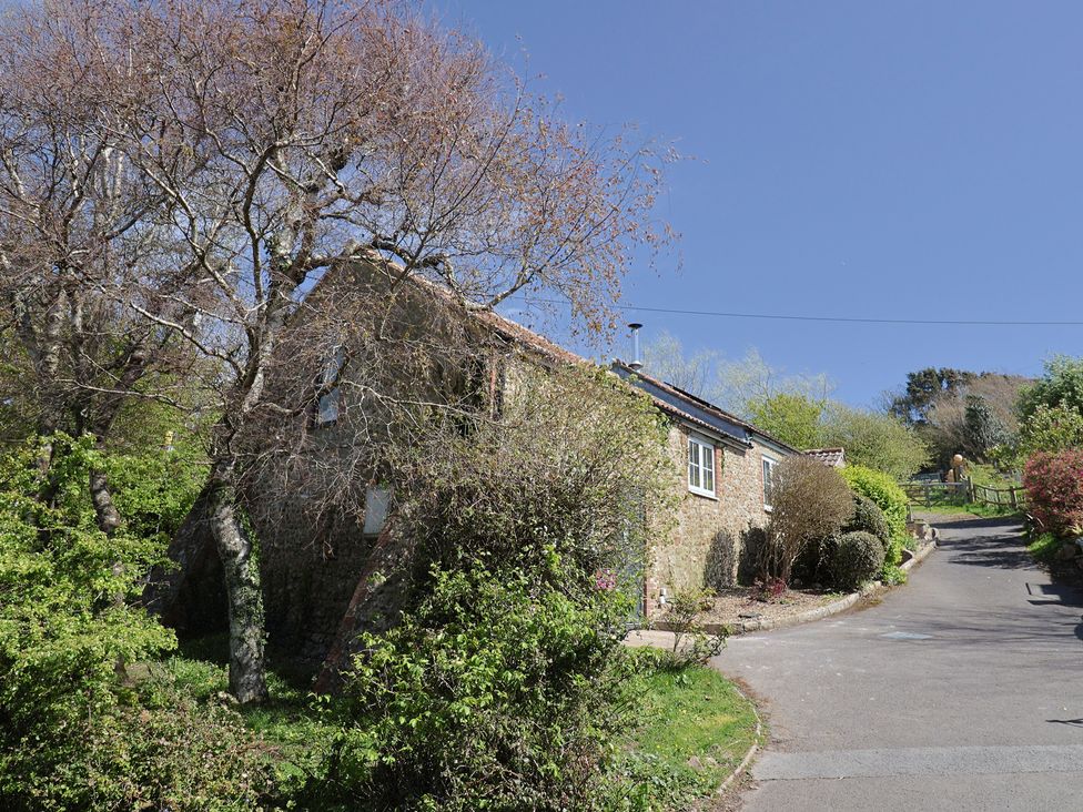 Damson Tree Cottage - Dorset - 1174518 - thumbnail photo 42