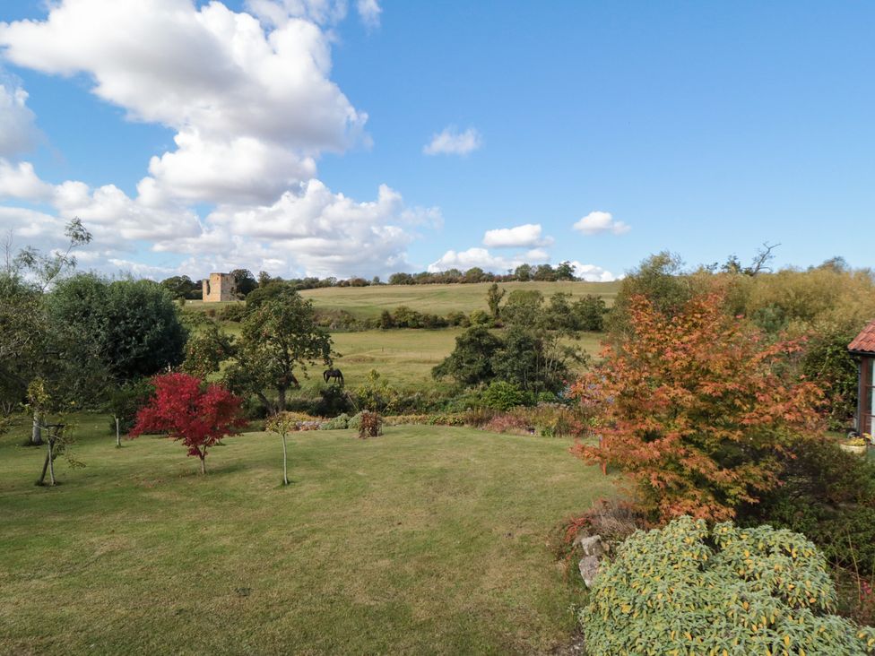 A garden with trees and a horse in a field at 32 Castlegate Scarborough