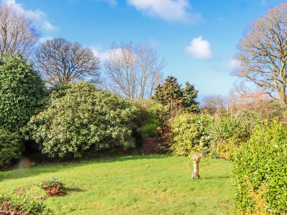 A garden with trees and bushes at 7 Erme Drive Ivybridge