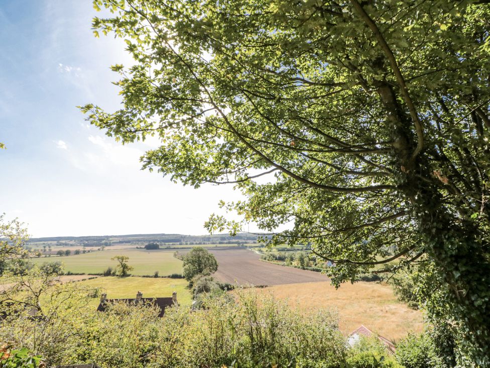 A view of fields and trees from a hill at Honeysuckle Cottage in York