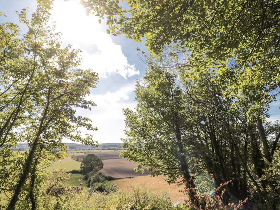A view of trees and fields at Honeysuckle Cottage in York