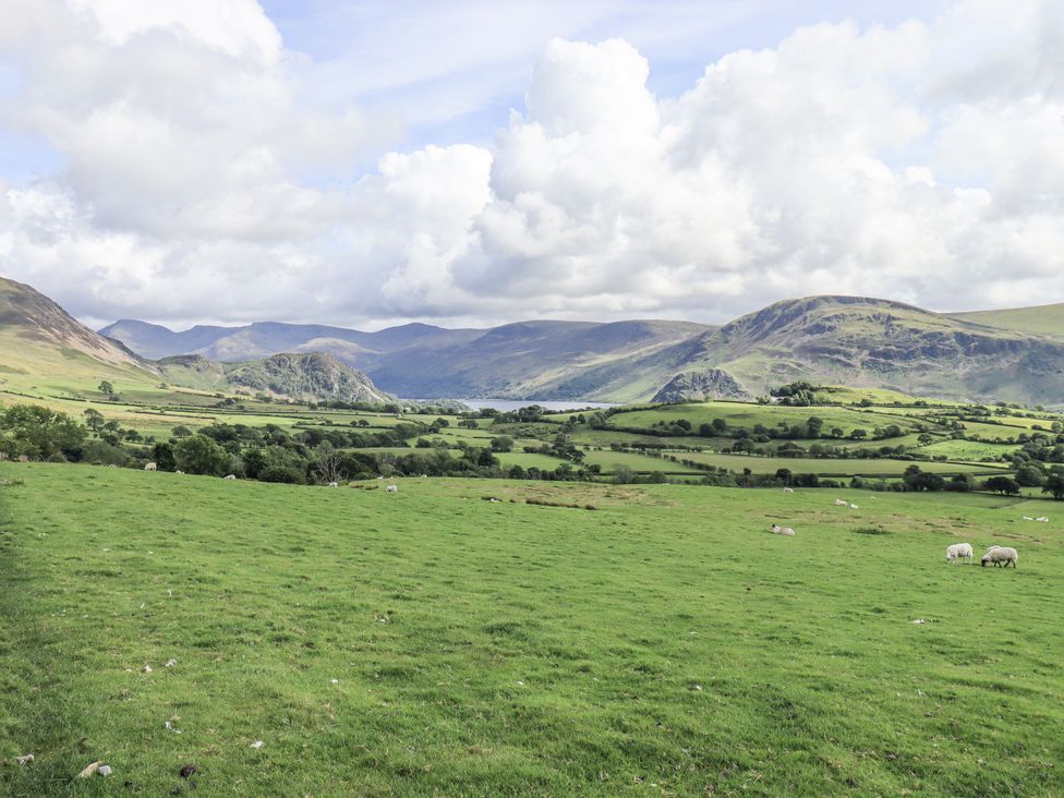 A green field with sheep and mountains in the background at Chapel Cottage in Ennerdale near Cleator Moor