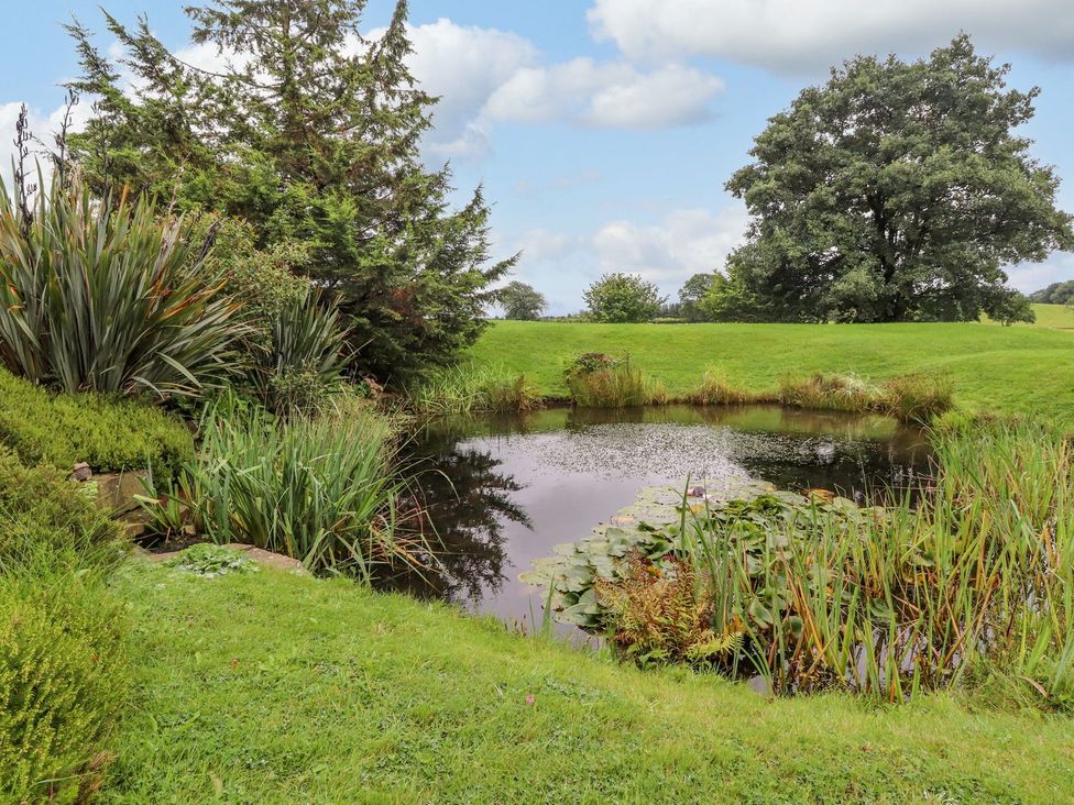 A small pond surrounded by grass trees and plants at High View Meadows in Kirkby Lonsdale