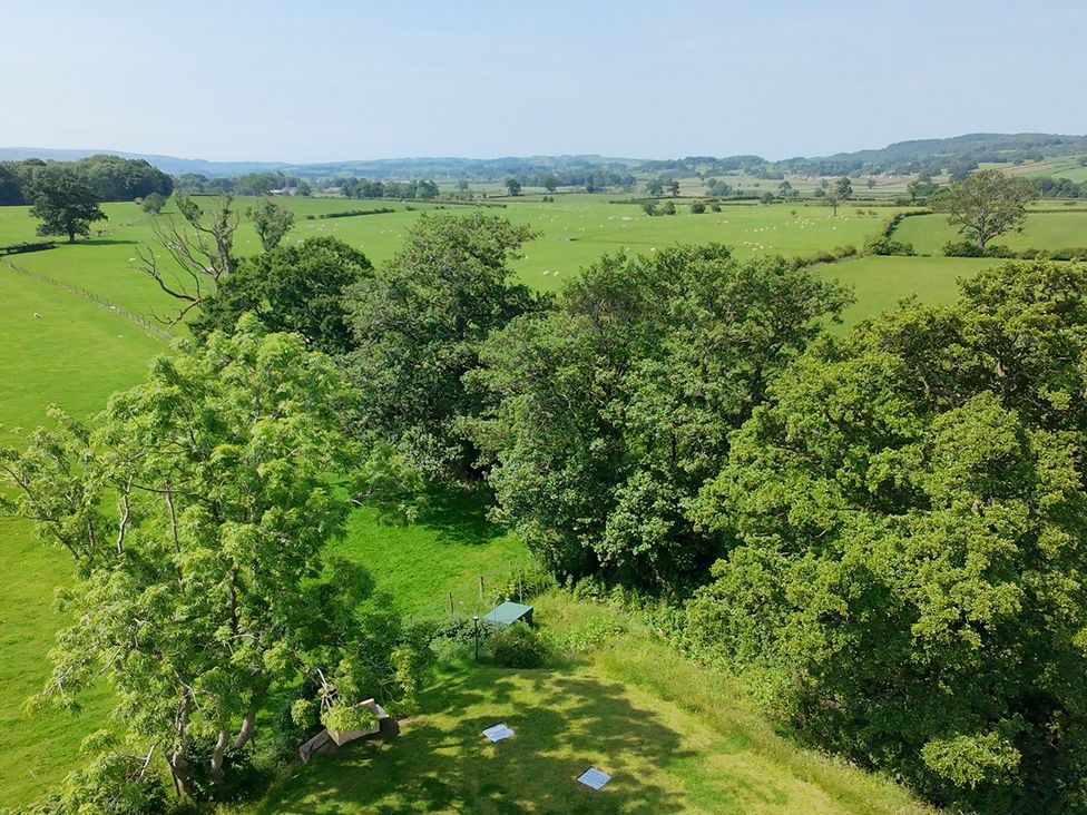 A landscape with trees and sheep in a field at High View Meadows in Kirkby Lonsdale