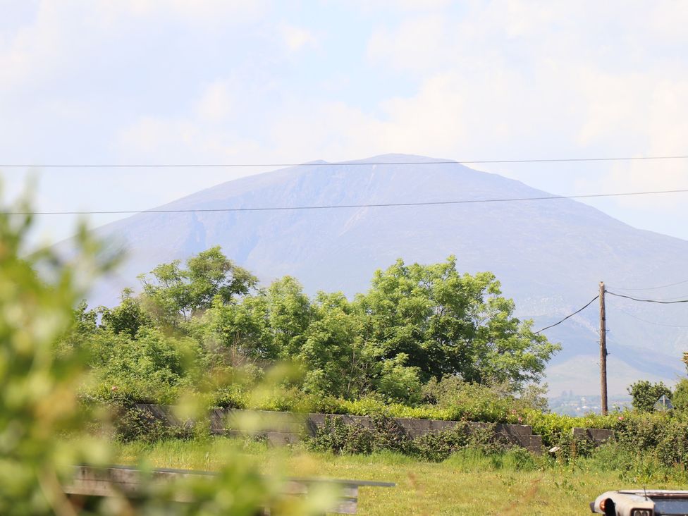 A rural landscape with green trees and grass with a mountain in the background and power lines