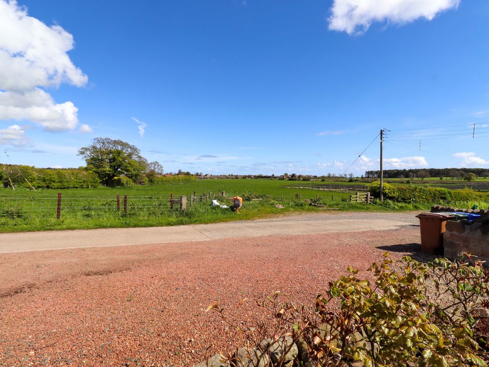 A view of a field with a tree and a road at 3 Christon Bank Mews in Christon Bank