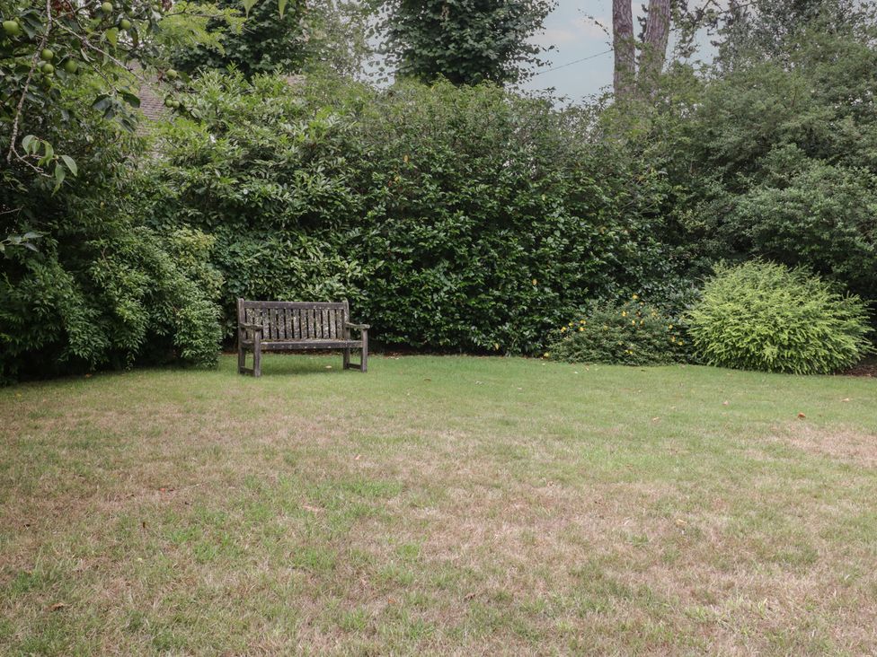 A garden with a bench surrounded by shrubs at St. Marys House Church Westcote near Bledington