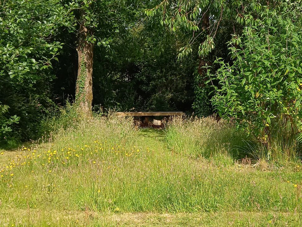 A garden with a table surrounded by grass and trees at Emma No.6 in Llandegfan