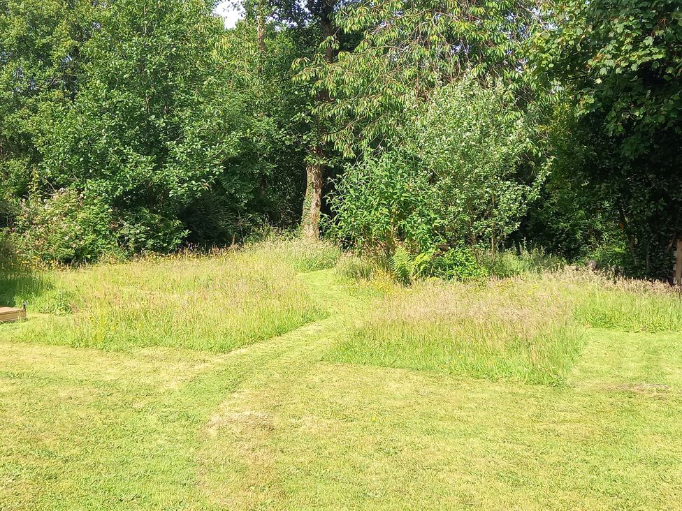 A garden with grass and trees at Emma No.6 Llandegfan