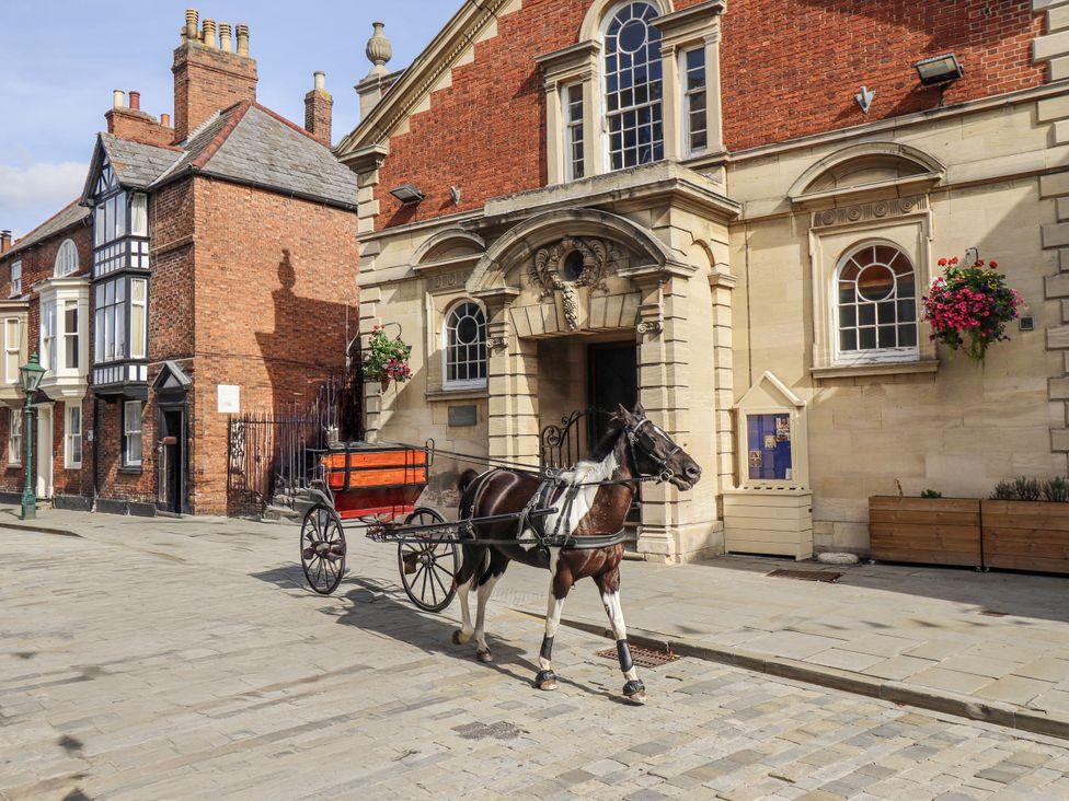 A horse pulling a cart in front of a building at Madje Apartment in Lincoln